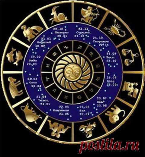 Прекрасный подарок комнатное растение по знаку зодиака( к Новому году, на всю жизнь!!!!)..