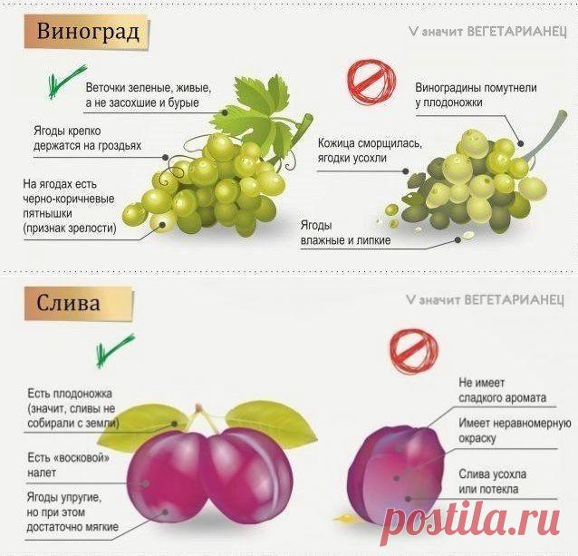 Правильно выбираем фрукты и ягоды