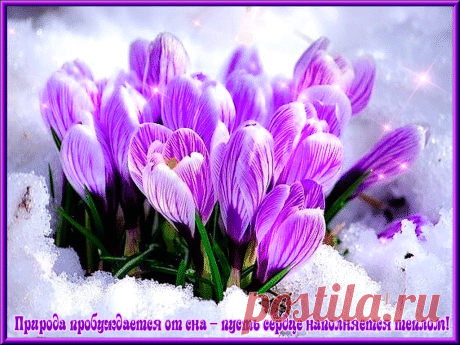 Открытки анимация Природа пробуждается | Открытки анимация