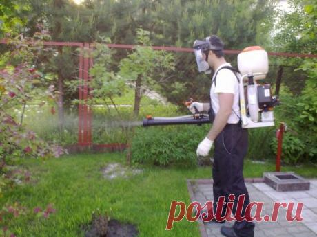 Как избавиться от травы на участке навсегда народными средствами, без химии