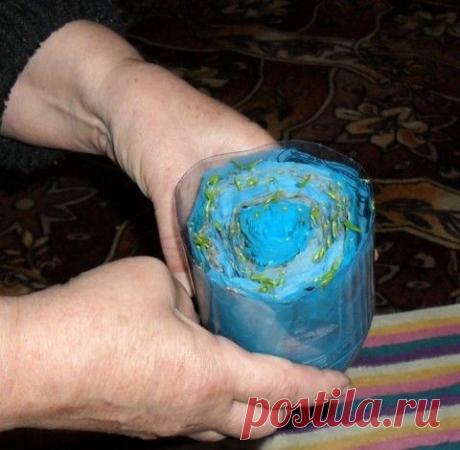 Эксклюзивная технология выращивания рассады без земли!