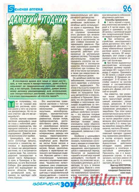 Цимицифуга (клопогон)