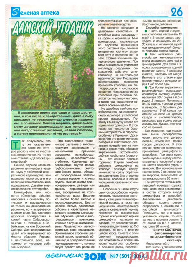 Цимицифуга (клопогон)