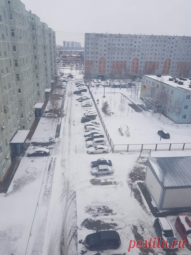 Люблю снежок в начале мая,
Морозец лёгкий, гололед.
И лыжи снова доставая,
В восторге я, что снег идёт.
Под снегом скрылись помидоры,
Пусть кое-где торчит тюльпан,
И их, однако, очень скоро
Весенний заметет буран.
И вряд ли я весну увижу -
Изменницу и егозу.....
Май, снег, метель и снова лыжи.
А Тютчев зря любил грозу!
Шёл май - девятый зимний месяц,
Если считать от сентября.
В режиме сутки через десять
Шёл снег, парады серебря.
Машины-поливалки утром
Случайно залили каток...