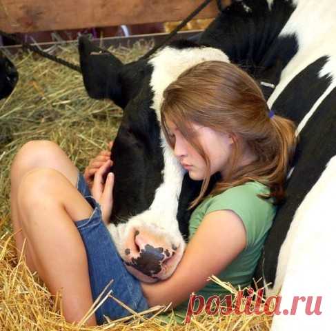 Люди и животные равны? — Интересные факты
