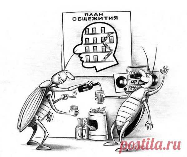 У женщин нередко мигрень возникает от того, что тараканы в голове от скуки начинают играть в чехарду.

***
Это у глупых людей в голове тараканы, а у умных и деятельных — муравейник.

***
Все женщины одинаковые, а вот тараканы у них в голове у всех разные.

***
У меня в голове идеальный порядок: слева — тараканы, справа — мания величия!

***
Если хорошо пошевелить мозгами, все тараканы разбегутся