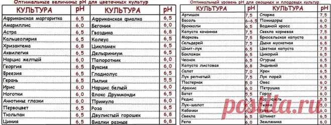 оптимальные величины рн для цветочных и овощных культур: 14 тыс изображений найдено в Яндекс.Картинках