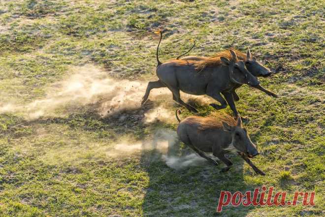 Яндекс.Фотки