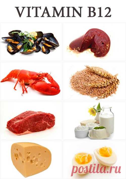 Продукты, которые богаты витамином В12