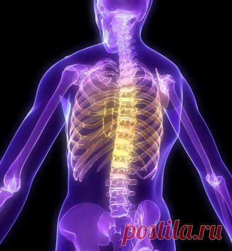 Простой тест для оценки текущего состояния вашего позвоночника и суставов - Экологическое землетворчество | Экологическое землетворчество