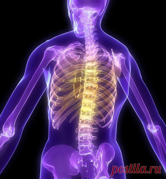 Простой тест для оценки текущего состояния вашего позвоночника и суставов - Экологическое землетворчество | Экологическое землетворчество