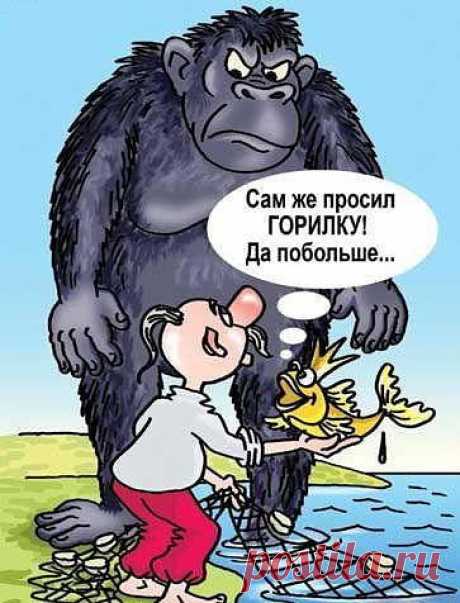 Картинки, приколы