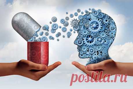 Как улучшить работу мозга и память?