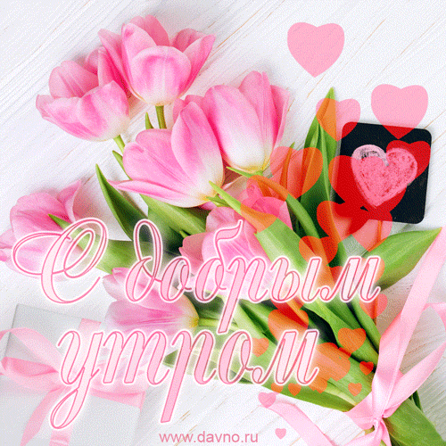 Открытки с добрым утром - скачайте бесплатно на Davno.ru