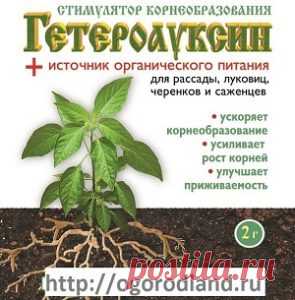 «Гетероауксин»- для роста корней. | Сад и Огород