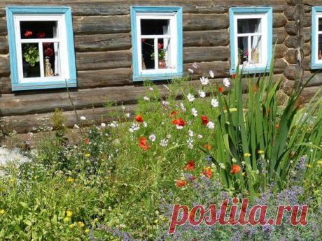 Какие растения создают русский сад? | 6 соток