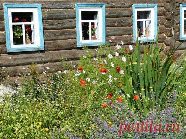 Какие растения создают русский сад? | 6 соток