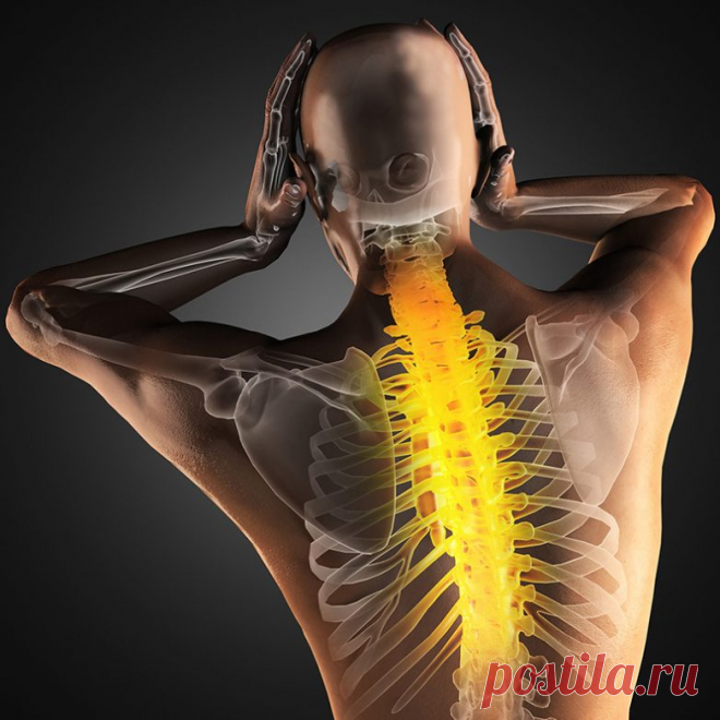 Что это означают боли отдельных позвонков? / Будьте здоровы