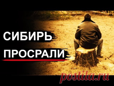 Сибирь и Тайга уходят с молотка