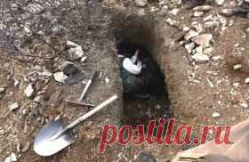 В Татарстане копателям предъявили обвинение на 1 млн. руб. или 6 лет