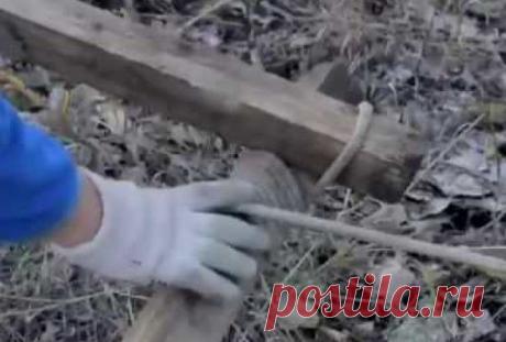 Этот способ вытащить машину должен знать каждый автомобилист Все достаточно просто
Автомобили в наше время имеют огромную популярность. Поэтому скоро вместо ходьбы, как самого популярного способа передвижения, придут автомобили. Сейчас у каждого третьего жите…