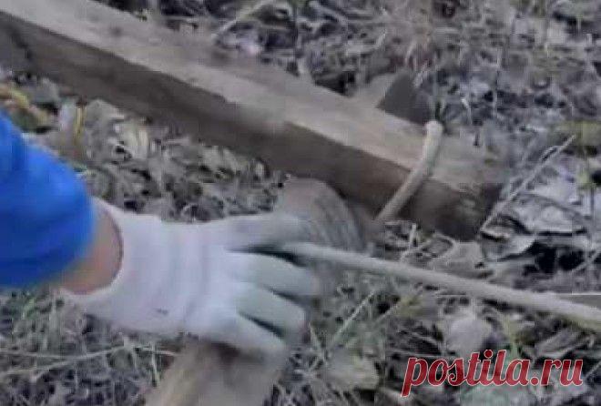 Этот способ вытащить машину должен знать каждый автомобилист Все достаточно просто
 
Автомобили в наше время имеют огромную популярность. Поэтому скоро вместо ходьбы, как самого популярного способа передвижения, придут автомобили. Сейчас у каждого третьего жите…