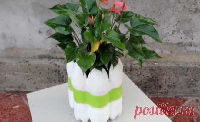 Мужчина разрезал бутылки и залил их цементом. Получилась чудесная вещь для сада