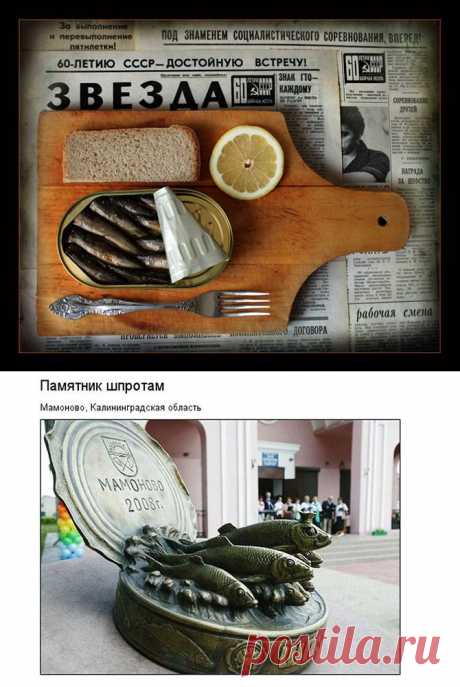 15 интересных фактов про шпроты