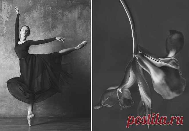 Фотограф создала серию фотографий, сравнивающих цветы и балерин - Современное искусство - медиаплатформа МирТесен