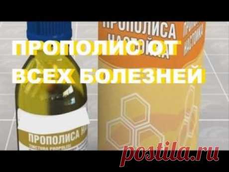 ПРОПОЛИС ОТ ВСЕХ БОЛЕЗНЕЙ - Most Popular Videos ПРОПОЛИС ОТ ВСЕХ БОЛЕЗНЕЙ  Будьте в курсе всех событий на канале- https://www.youtube.com/watch?v=KZyMDusP1fo  Реальный заработок,для новичков YouTube и не только,вывод денег от 1$ подключайся! https://youpartnerwsp.com/join?92382