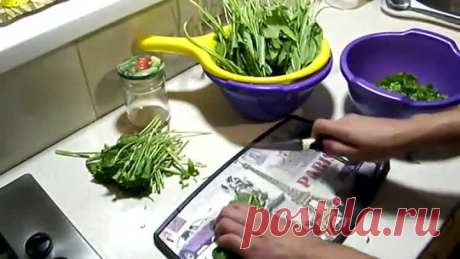 Щавель на зиму. консервированный  пятиминутка