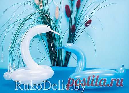 Лебедь и уточка из воздушных шариков :: Моделирование из воздушных шариков :: Поделки для детей :: RukoDelie.by