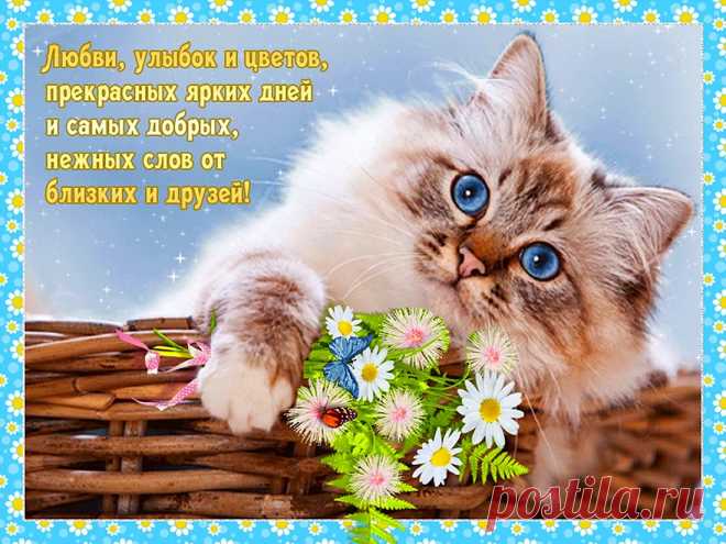 Пусть настроенье будет супер,
С улыбкой день встречай всегда,
Тебе сопутствует удача,
И не оставит никогда!