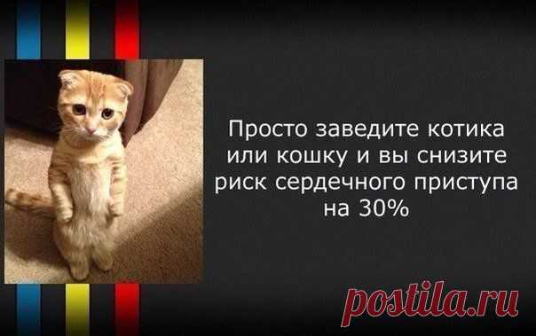 Разнообразные советы в картинках - Делимся советами