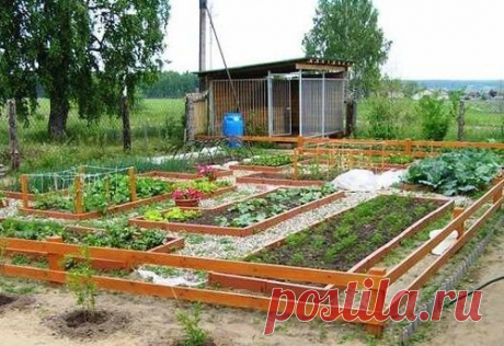 8 ОГОРОДНЫХ СЕКРЕТОВ