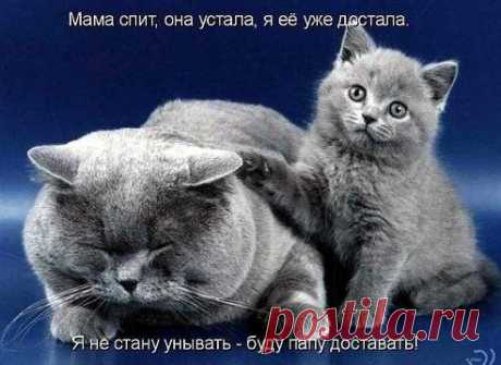 Одноклассники