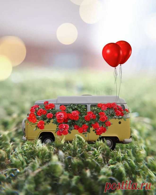 cute beautiful things for dp – Google Поиск
