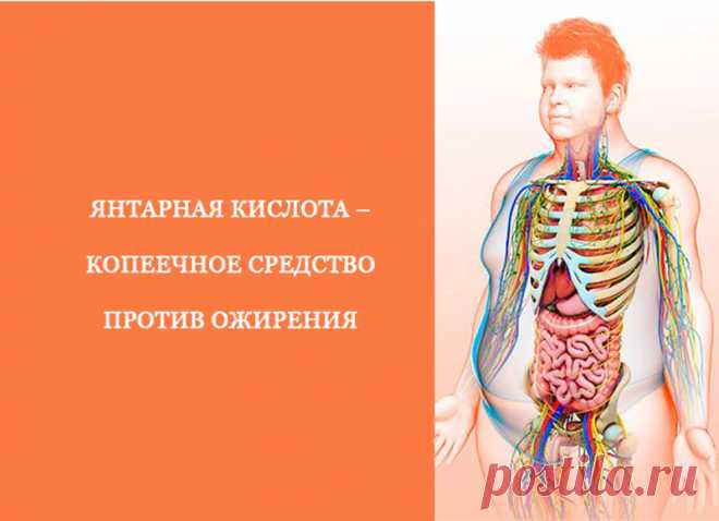 Янтарная кислота – копеечное средство против ожирения
Сигналом для активации бурого жира служит ✅янтарная кислота или сукцинат – один из важнейших промежуточных продуктов цикла трикарбоновых кислот, ключевого этапа клеточного дыхания, во время которого благодаря окислительным превращениям продуктов распада и синтеза жиров, белков и углеводов образуются богатые энергией молекулы АТФ.