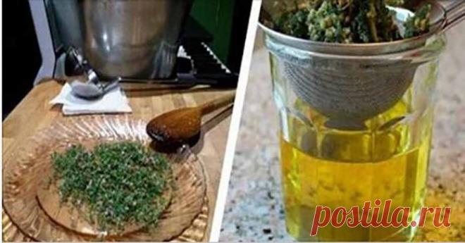 Попрощайтесь с головокружением, артритом, хронической усталостью, фибромиалгией, волчанкой, проблемами щитовидной железы и многое другое 


Отличный коктейль!







 


Тимьян — это отличное средство для профилактического и лечебного здоровья. В этой статье мы расскажем вам о многих преимуществах этого растения, а также о его универса…