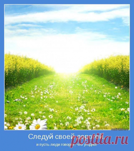 Удачного дня и волшебного настроения!