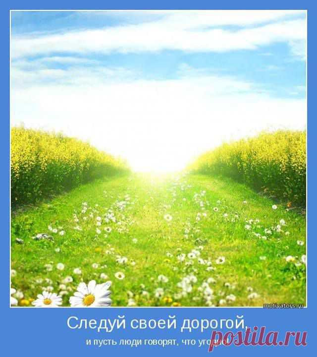 Удачного дня и волшебного настроения!