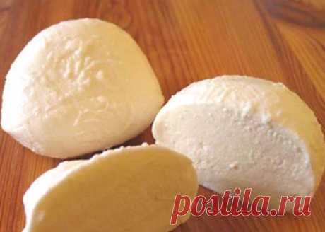 Закуска «Картофельный сыр» / Простые рецепты