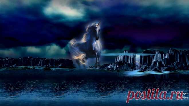 unicorn-wallpaper-20071013592936.jpg (1920×1080)