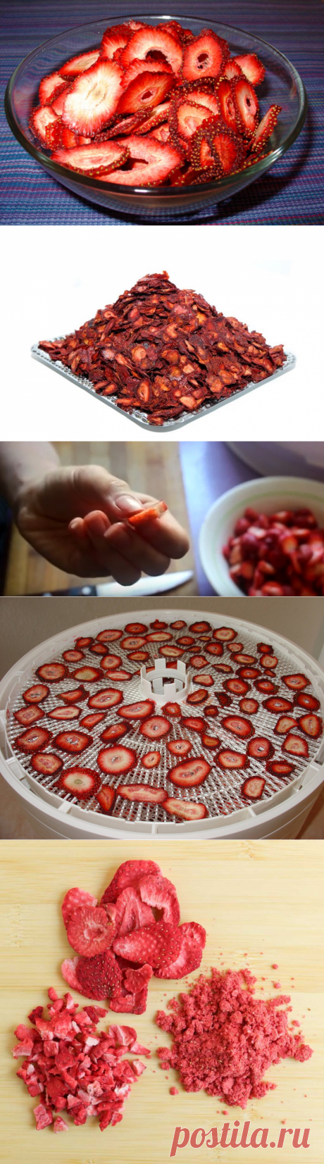 Сушеная клубника в домашних условиях полезная и вкусная заготовка