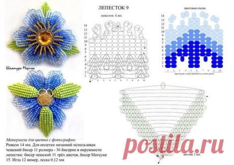 (1) Pinterest