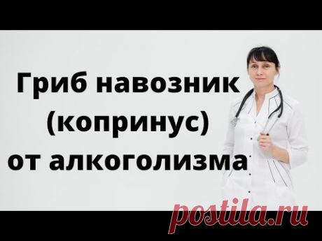 Копринус. Гриб - навозник. Народный метод от алкоголизма
