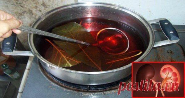 Эти листья могут очистить почки от любых накоплений сорняков. Выпейте это утром и перед сном!