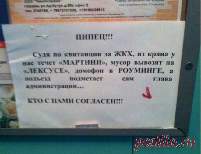 23 очень смешных объявления, которые поражают своей убедительностью