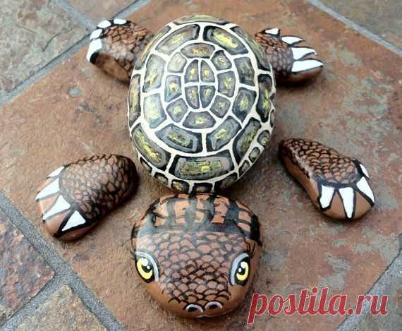 Painted Turtle