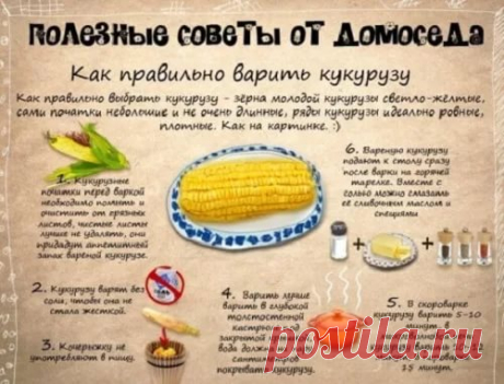 рецепты в картинках на все случаи жизни: 11 тыс изображений найдено в Яндекс.Картинках